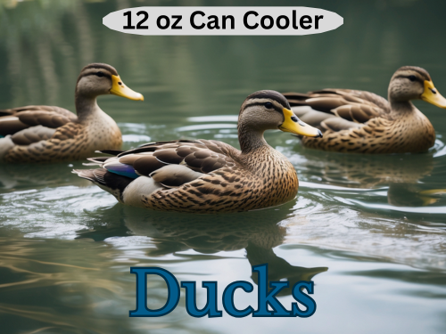 Ducks