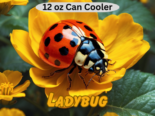 Ladybug