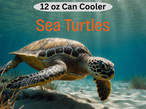 Sea Turtles