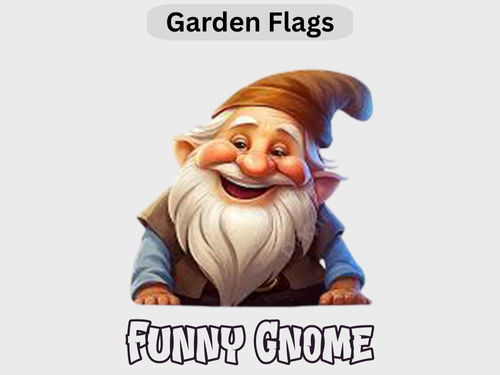 Funny Gnome