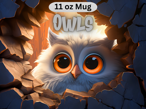 Owls