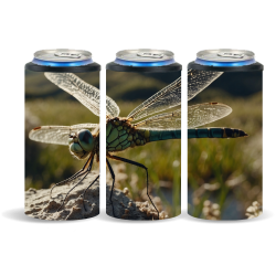 Dragonfly 011
