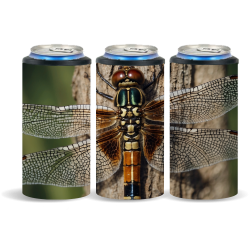 Dragonfly 036