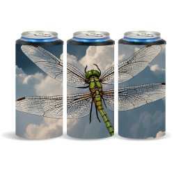 Dragonfly 038