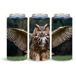 Owls 015