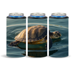 Sea Turtles 031