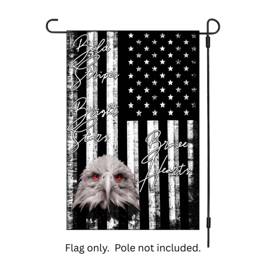 Patriotic 045
