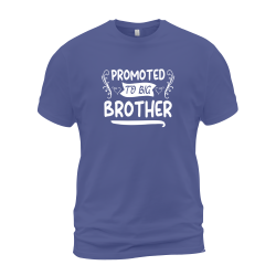 Promoted To Big Brother