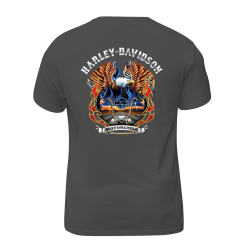 Harley Davidson Motorcycle