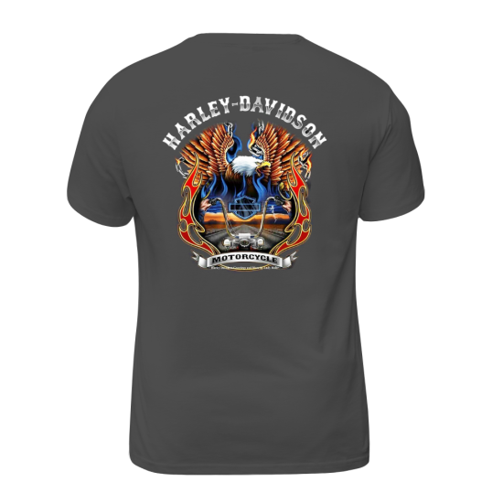 Harley Davidson Motorcycle