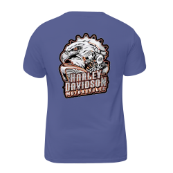 Harley Davidson Motorcycles 002