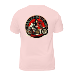 Harley Davidson Motorcycles 003