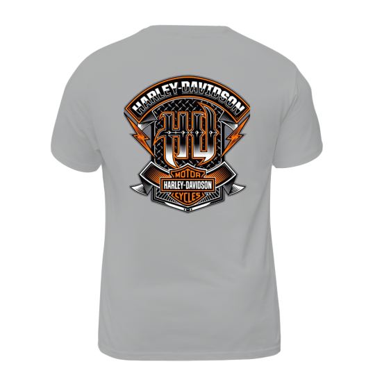 Harley Davidson Motorcycles 004