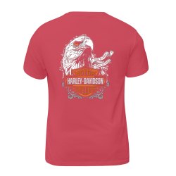 Harley Davidson Motorcycles 005