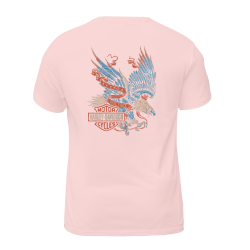 Harley Davidson Motorcycles 006