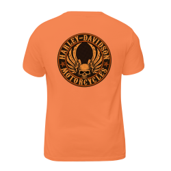 Harley Davidson Motorcycles 007