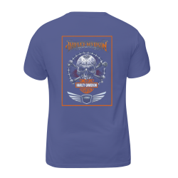 Harley Davidson Motorcycles 010