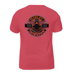 Harley Davidson Motorcycles Since 1903