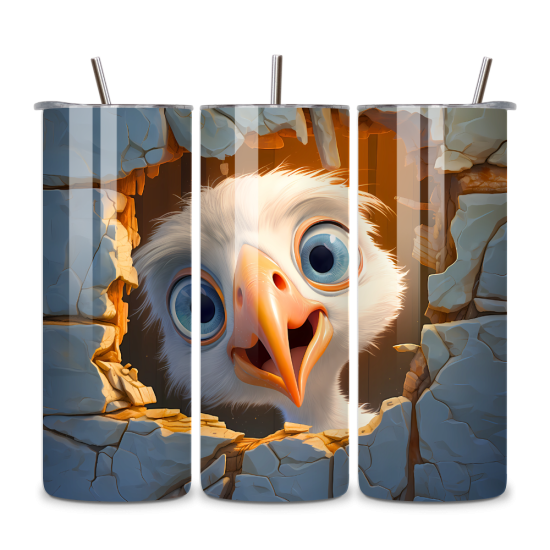 Birds 036
