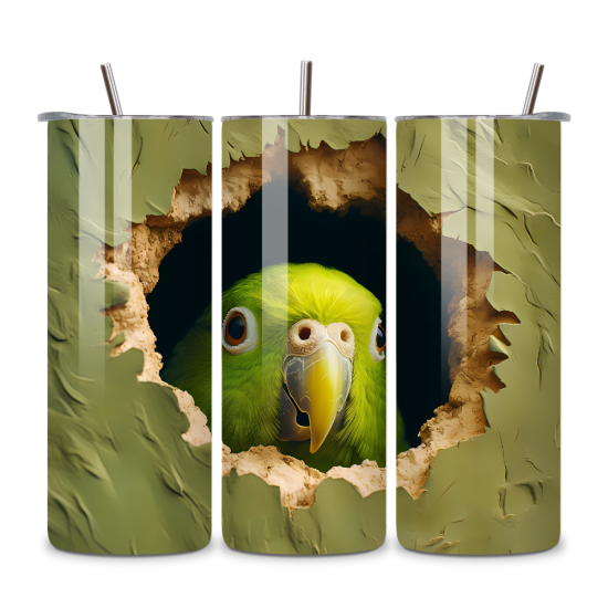 Birds 061