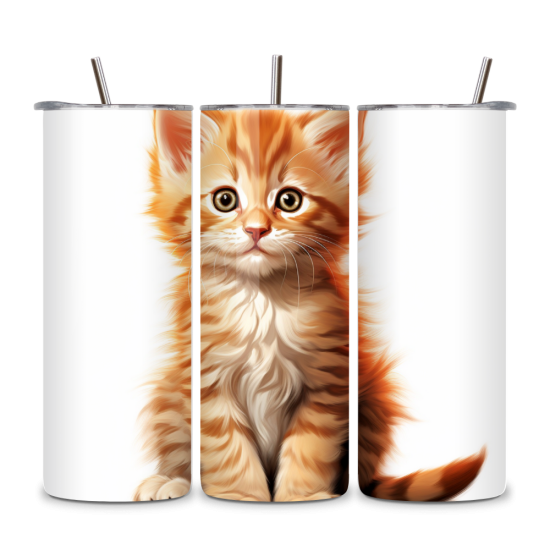 Cat 016