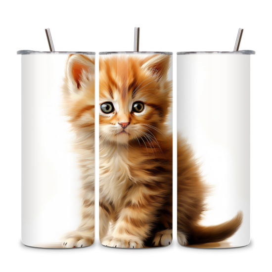 Cat 022