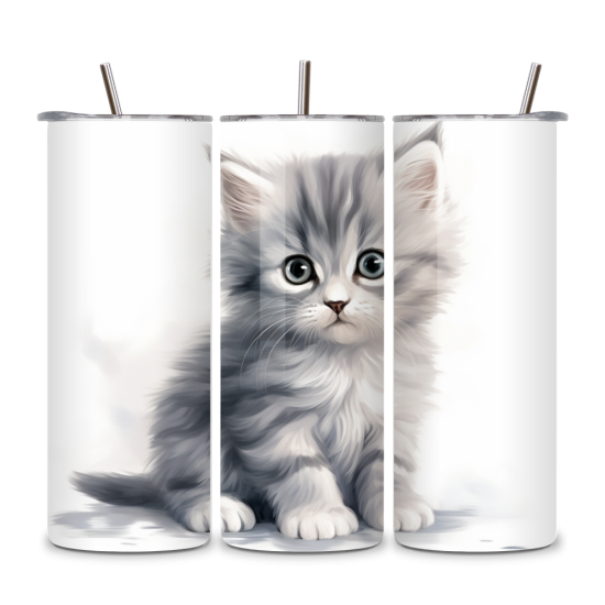 Cat 026