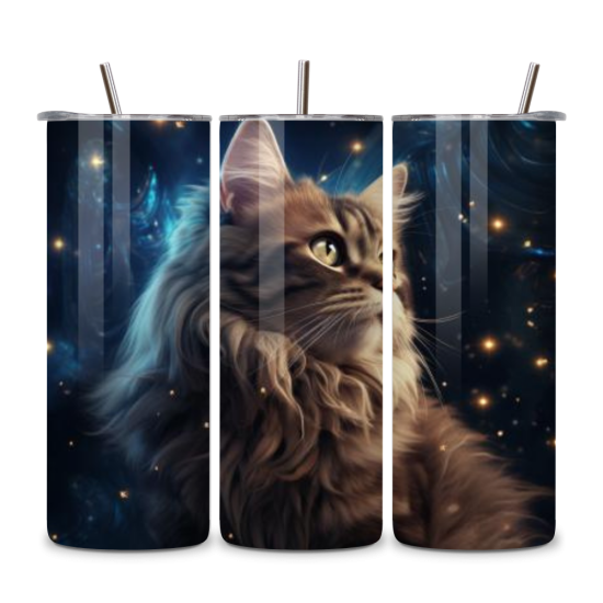 Cat 037