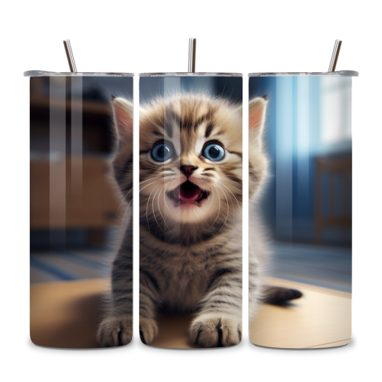 Cat 038