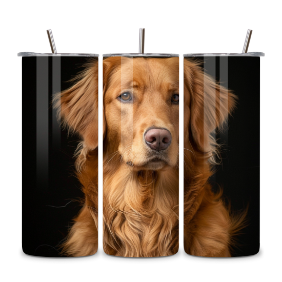 Dog 017