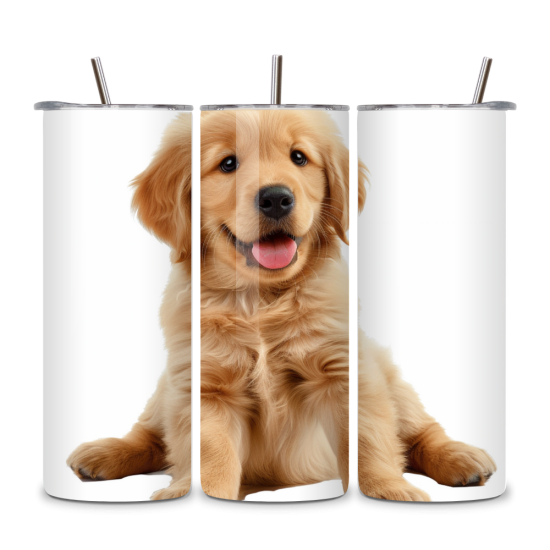Dog 025