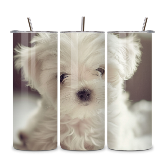 Dog 035 Dog 035