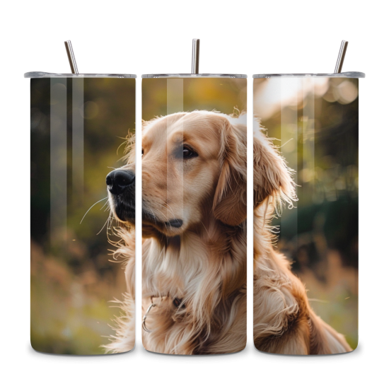 Dog 045 Dog 045