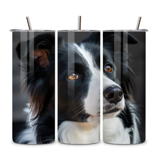 Dog 066 Dog 066