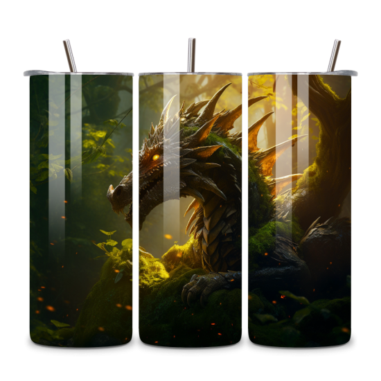 Dragon 041
