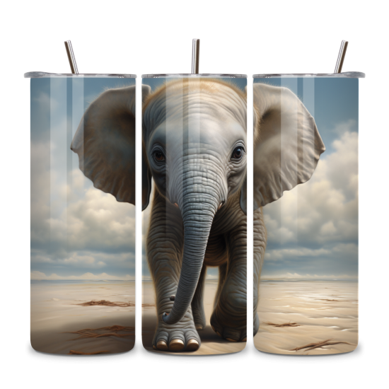 Elephant 038
