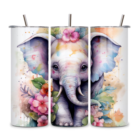 Elephant 039
