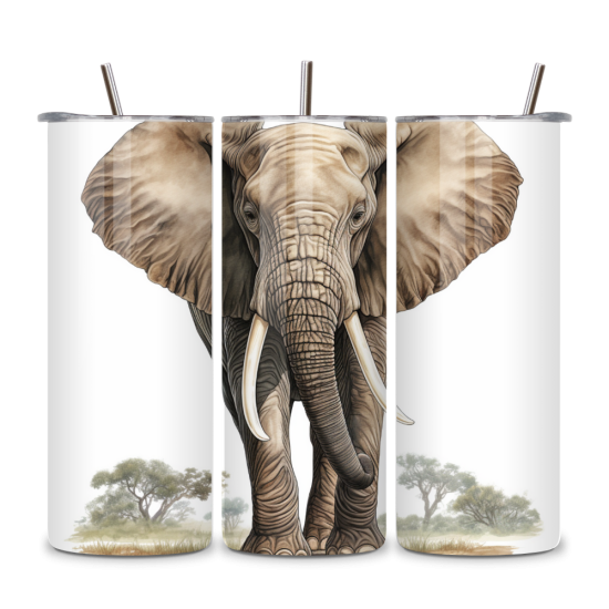 Elephant 044