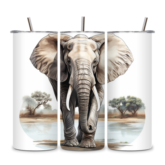 Elephant 047