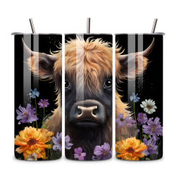 Highland Cow 005