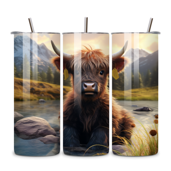 Highland Cow 009