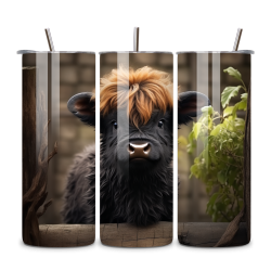 Highland Cow 011