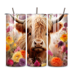Highland Cow 020