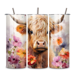 Highland Cow 021