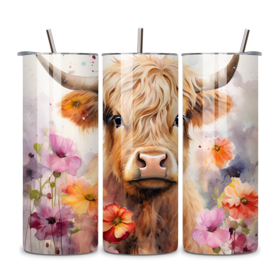 Highland Cow 021