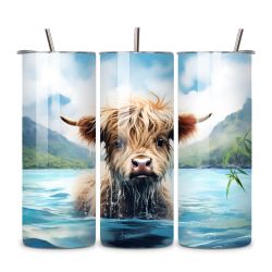 Highland Cow 023