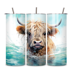Highland Cow 024