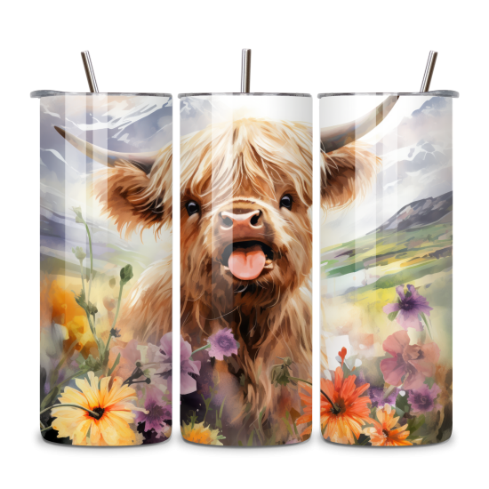 Highland Cow 027