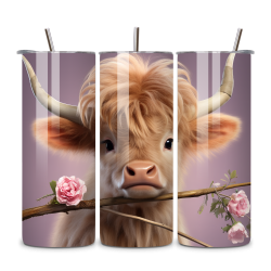 Highland Cow 066