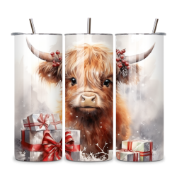 Highland Cow 074